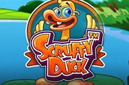 Online slot Scruffy Duck