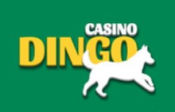 Dingo casino